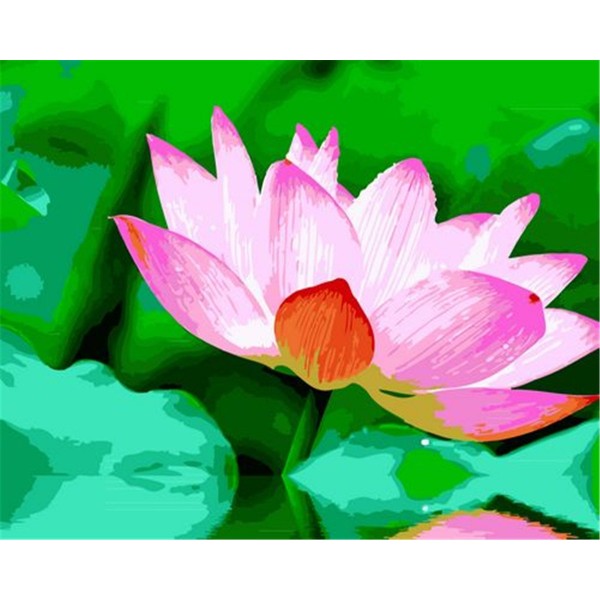 Water lily Painting By Numbers UK