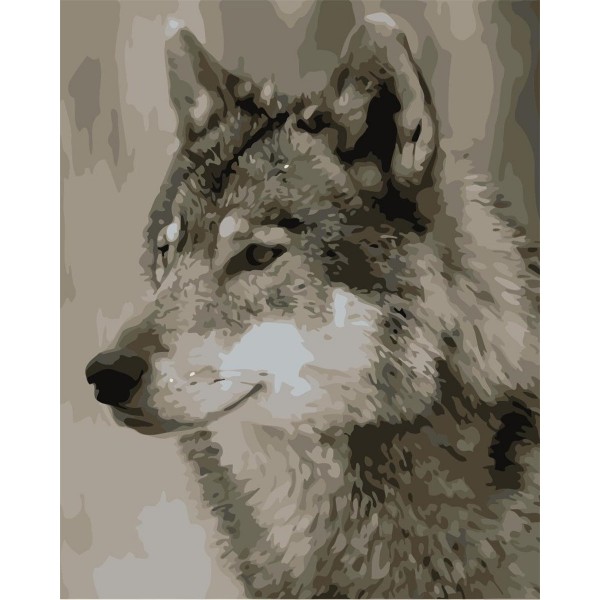Gray wolf Painting By Numbers UK