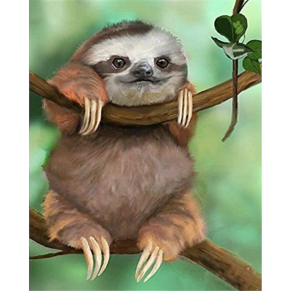 Sloths Painting By Numbers UK