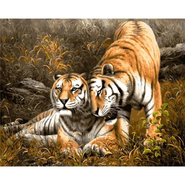 Tiger Painting By Numbers UK