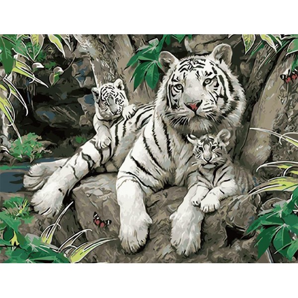  Animal Little Tiger And Mother Painting By Numbers UK