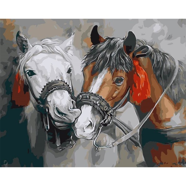 Two affectionate horses Painting By Numbers UK