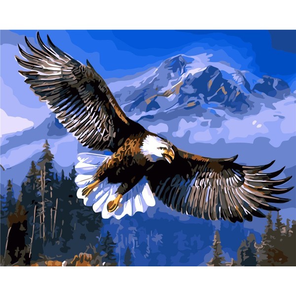 Soaring eagle Painting By Numbers UK