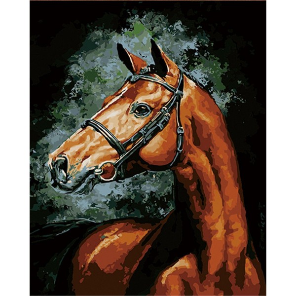 Animal horse Painting By Numbers UK