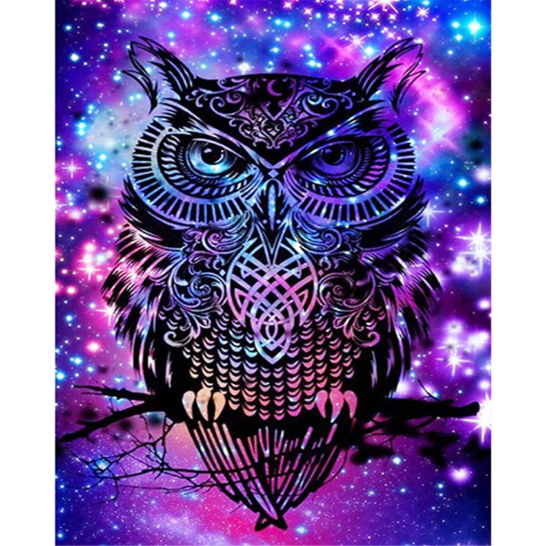 Animal owl Painting By Numbers UK