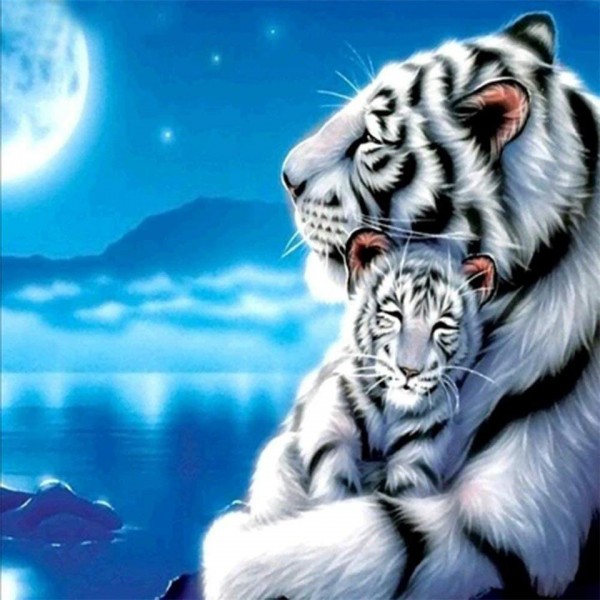 Bengal White Tiger Father and Son Painting By Numbers UK