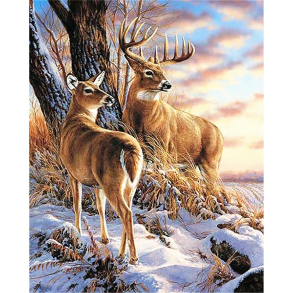 White-tailed deers on the snow Painting By Numbers UK