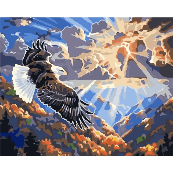 Eagle soaring in the air Painting By Numbers UK