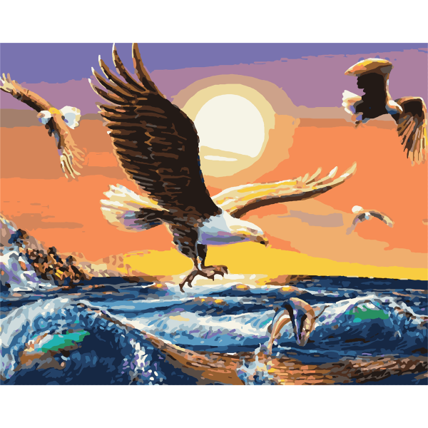 Animal Eagles Painting By Numbers UK