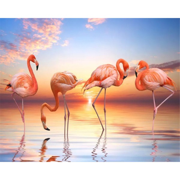 Animal flamingo Painting By Numbers UK