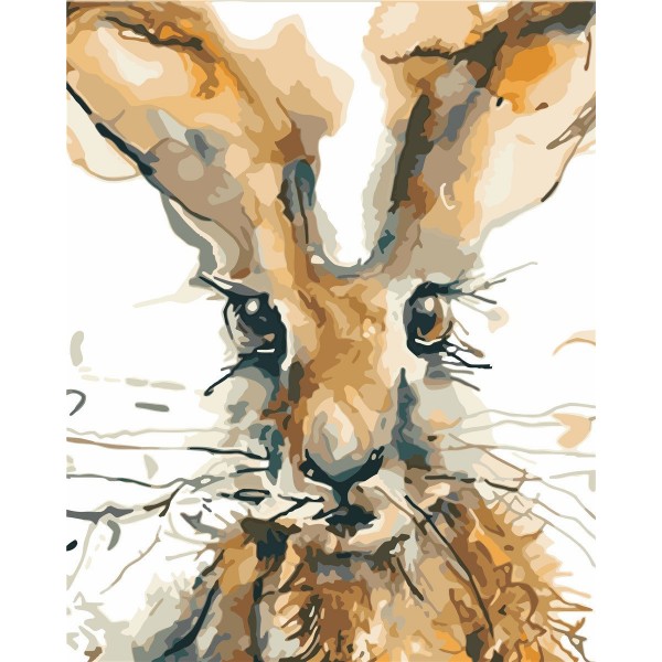 Animal rabbit Painting By Numbers UK
