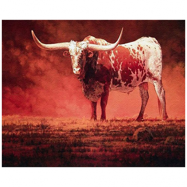 Cattle Painting By Numbers UK