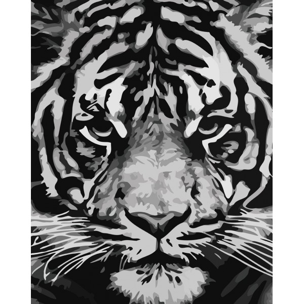  Animal Fiercely Tiger Painting By Numbers UK