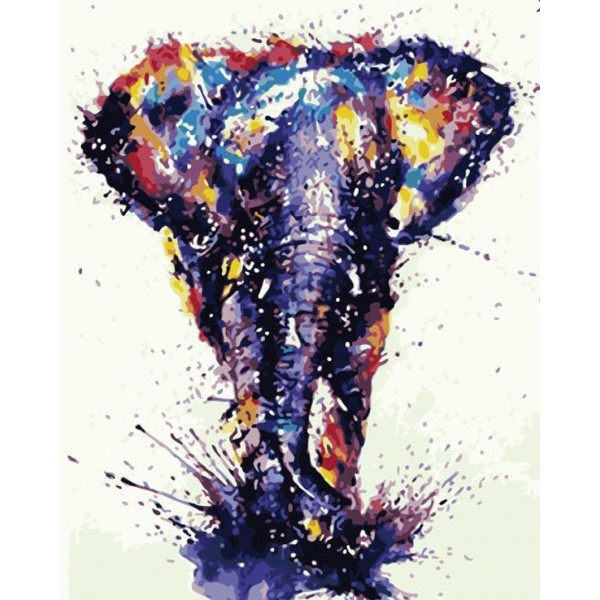 Animal Color Elephant Painting By Numbers UK