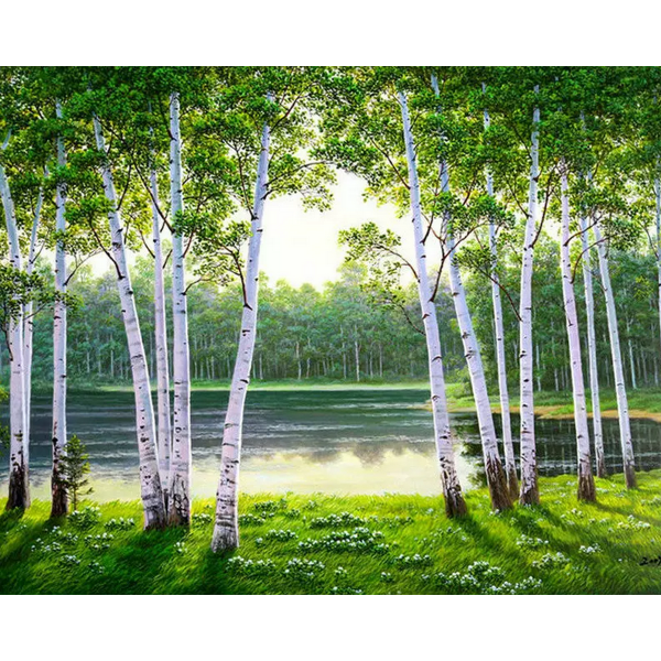White birch tree Painting By Numbers UK