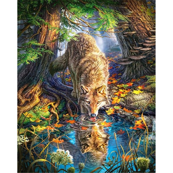 The wolf drinks water in the forest Painting By Numbers UK
