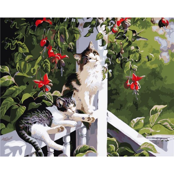 Cat Painting By Numbers UK