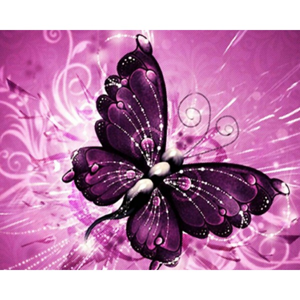  Animal butterfly Painting By Numbers UK