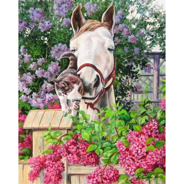 A cat and a horse Painting By Numbers UK