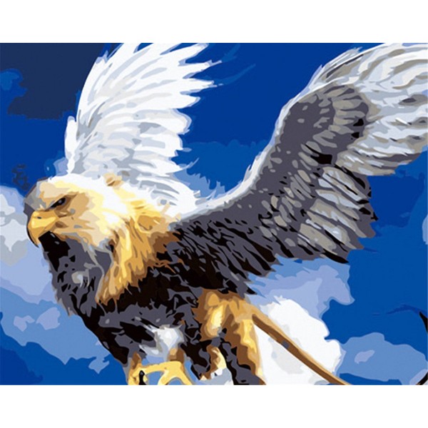 Sea eagle Painting By Numbers UK