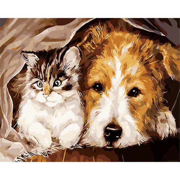 A cat and a dog Painting By Numbers UK