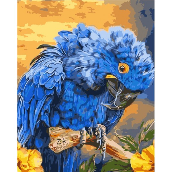 Blue parrot Painting By Numbers UK