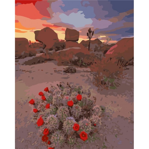 Desert Painting By Numbers UK