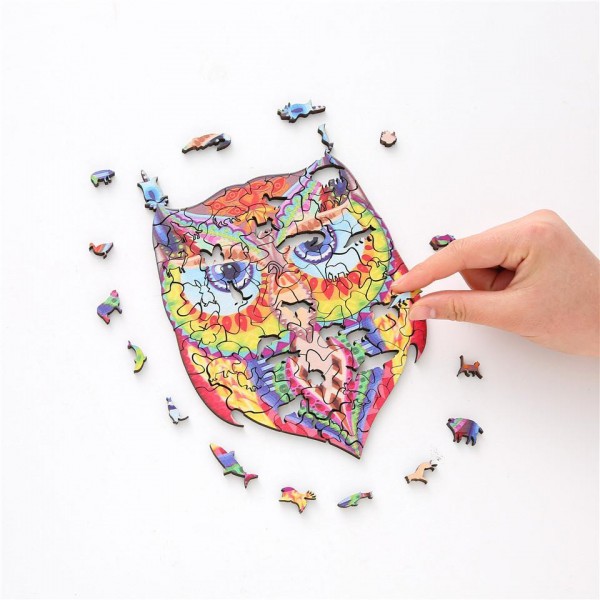 DIY wooden Puzzle | Animal owl Painting By Numbers UK