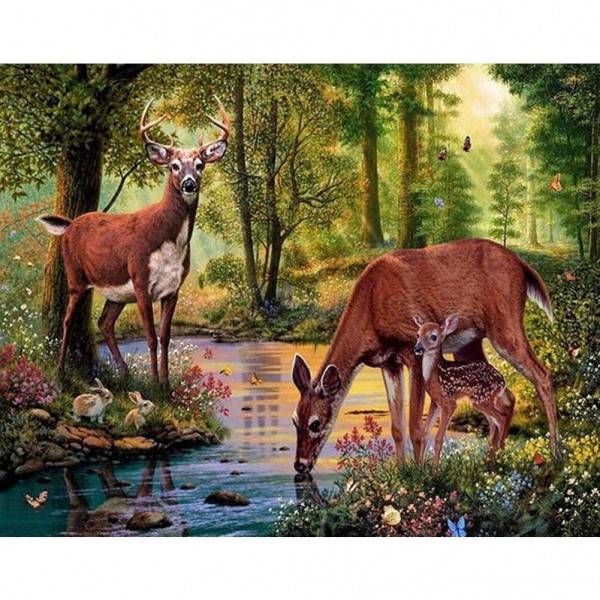 Elk Painting By Numbers UK