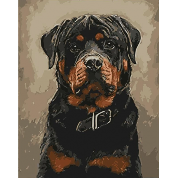 Animals black dog Painting By Numbers UK