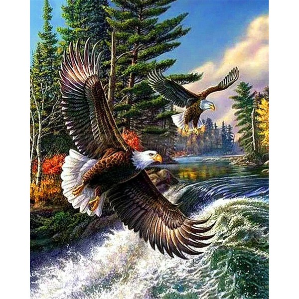 Great Eagle Spreading Wings Painting By Numbers UK