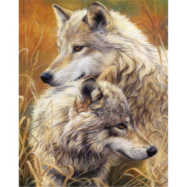 Two wild wolves Painting By Numbers UK