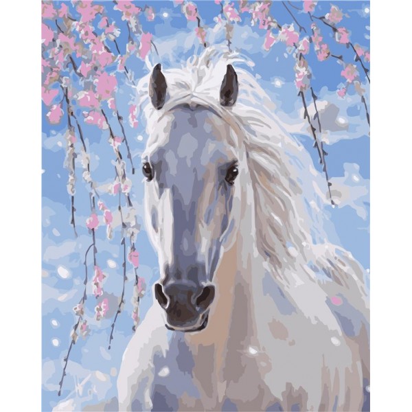 White horse Painting By Numbers UK