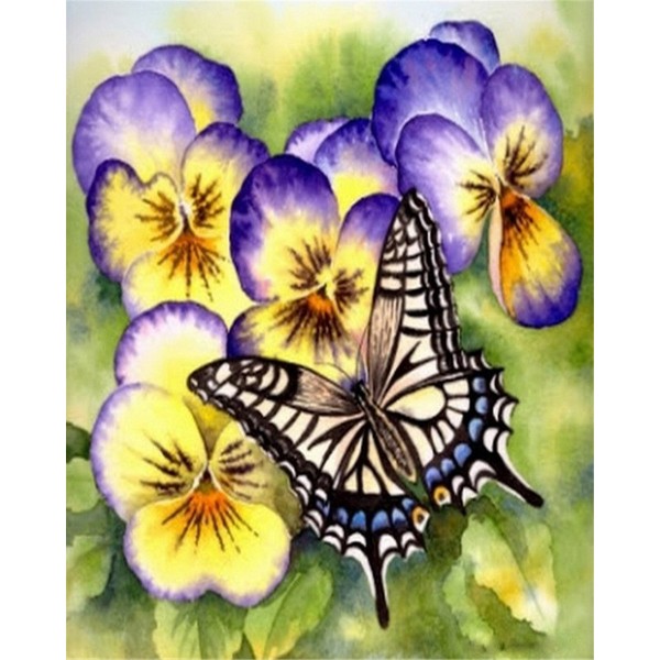 Flower violas and butterfly Painting By Numbers UK