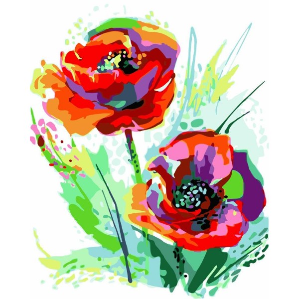 Poppy flower Painting By Numbers UK
