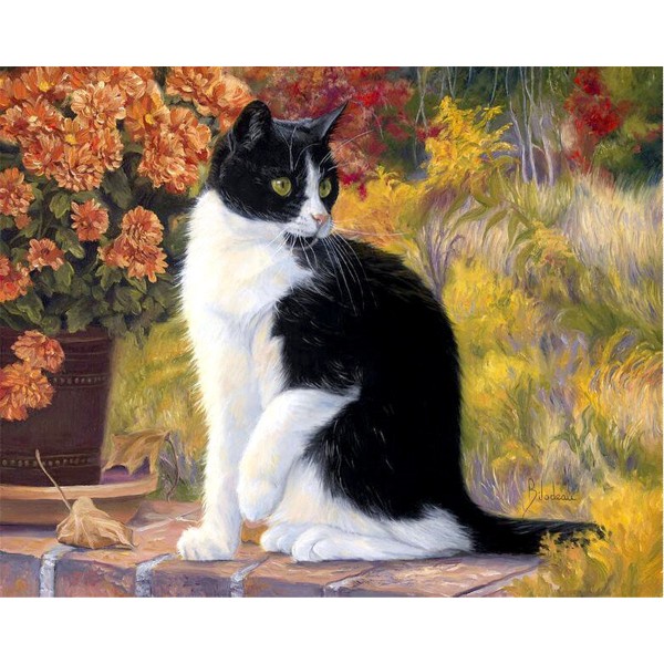 Animal Cat Painting By Numbers UK
