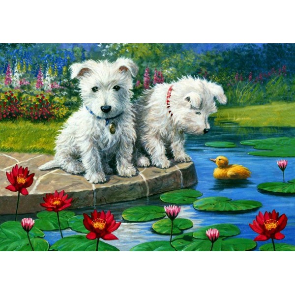 Two puppies Painting By Numbers UK