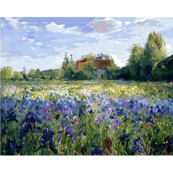 Iris Flowers Field  (40X50cm) Painting By Numbers UK