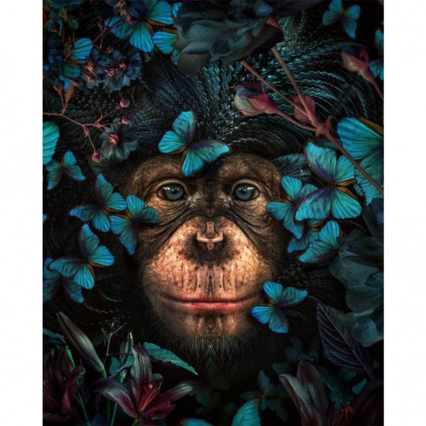 Flowers & Orangutan-- 40*50cm Painting By Numbers UK