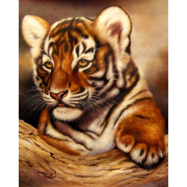 Animal tiger Painting By Numbers UK