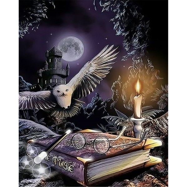 Harry Potter Owl Painting By Numbers UK