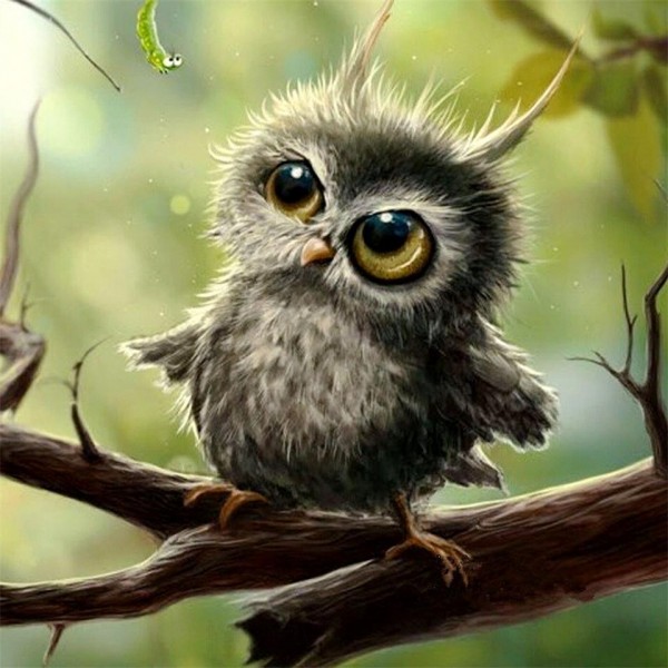 Cute little owl Painting By Numbers UK
