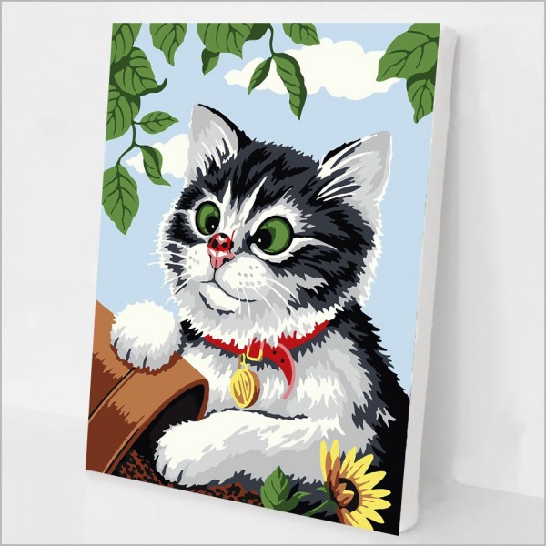 Cat Painting By Numbers UK