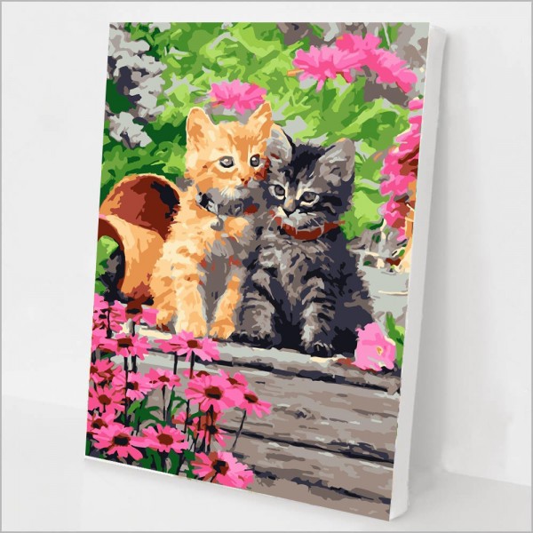 Two kittens Painting By Numbers UK