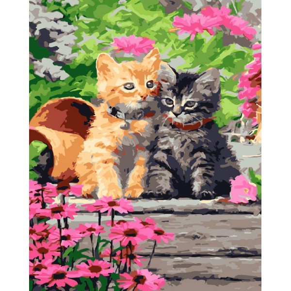 Two kittens Painting By Numbers UK