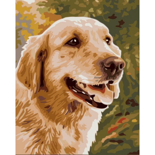 dog Painting By Numbers UK