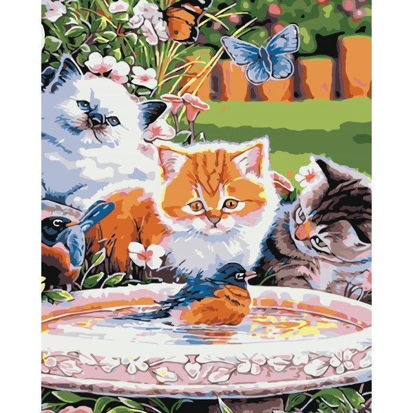 Cats looking at birds Painting By Numbers UK
