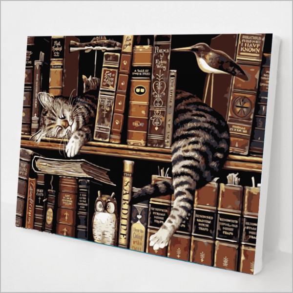 Cat on the shelf Painting By Numbers UK