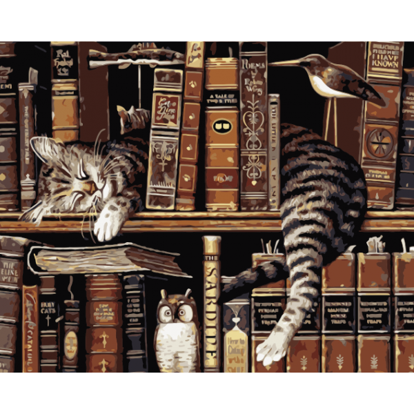 Cat on the shelf Painting By Numbers UK