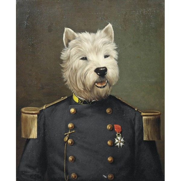 Dog in a suit Painting By Numbers UK